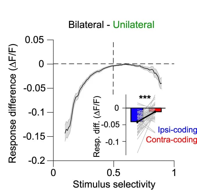Open access visualization of Line Plot, Error Bars, Bar Plot, Unilateral Responses, Bilateral Responses