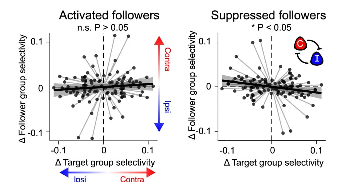 Open access visualization of Scatter Plot, Regression Plot, Whisker Selectivity, Network Followers, Photostimulation