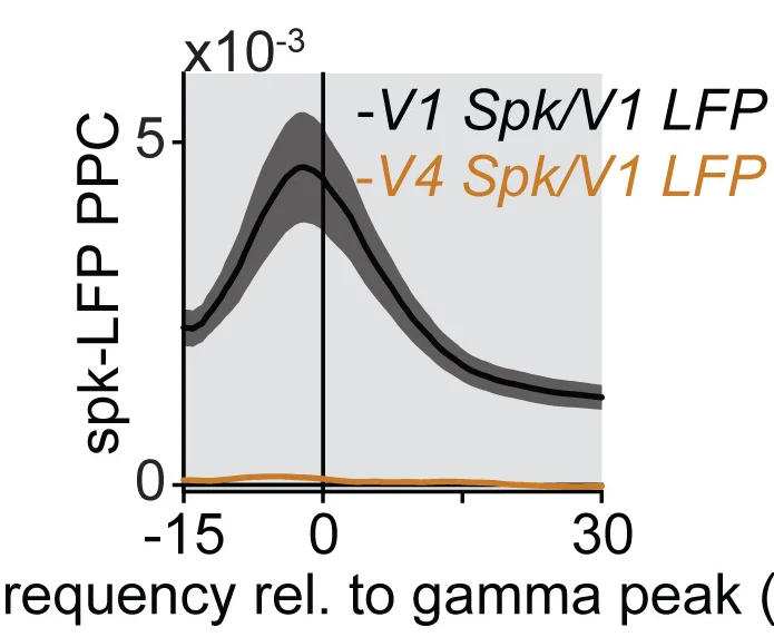 Open access visualization of Line Plot, Error Bars, Pairwise-Phase-Consistency, V1 LFPs, V1 Single Units