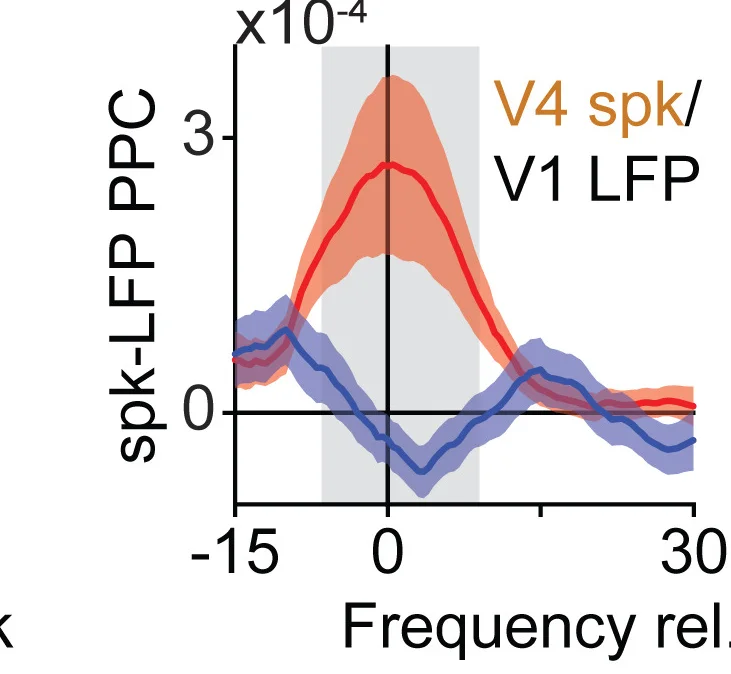 Open access visualization of Line Plot, Error Bars, V4 Neurons, Gamma Phase-Locking, V1 LFPs