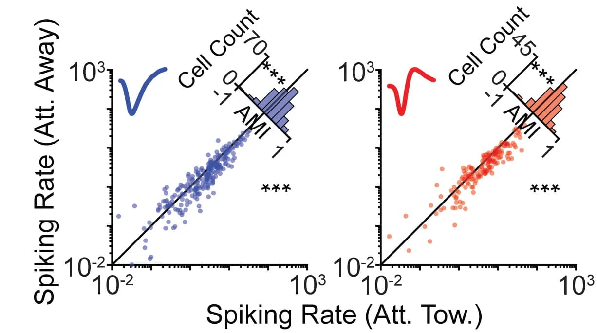 Open access visualization of Scatter Plot, Histogram, Line Plot, Firing Rates, Attend-Toward Condition
