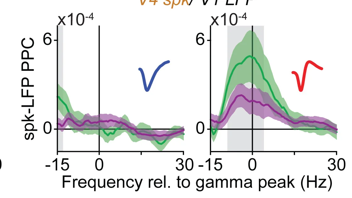 Open access visualization of Line Plot, Error Bars, Phase Locking, PPC, V1 LFP