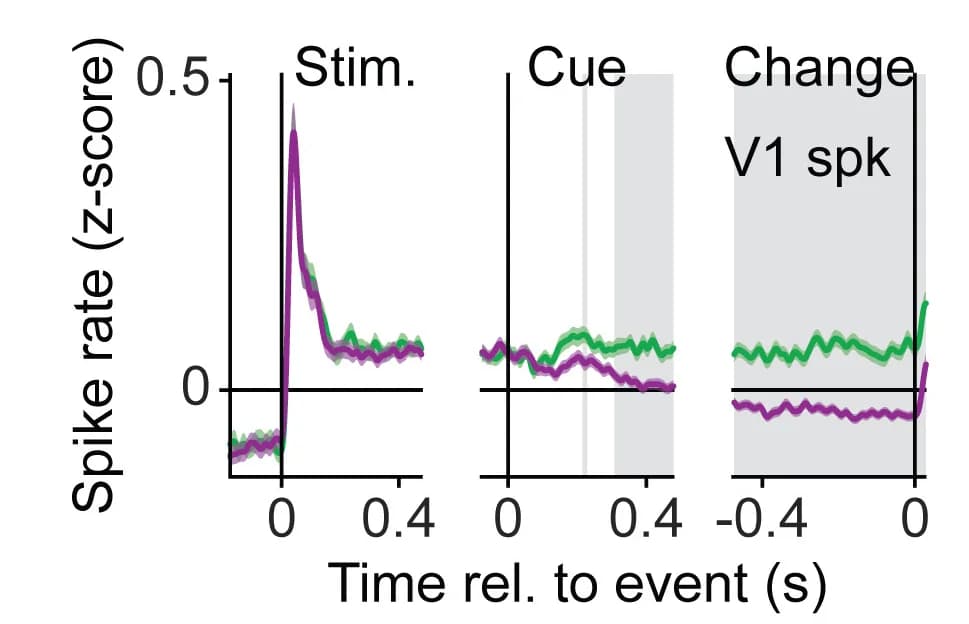 Open access visualization of Line Plot, Error Bars, V1 SU, Peri-Event Time Histogram, PETH