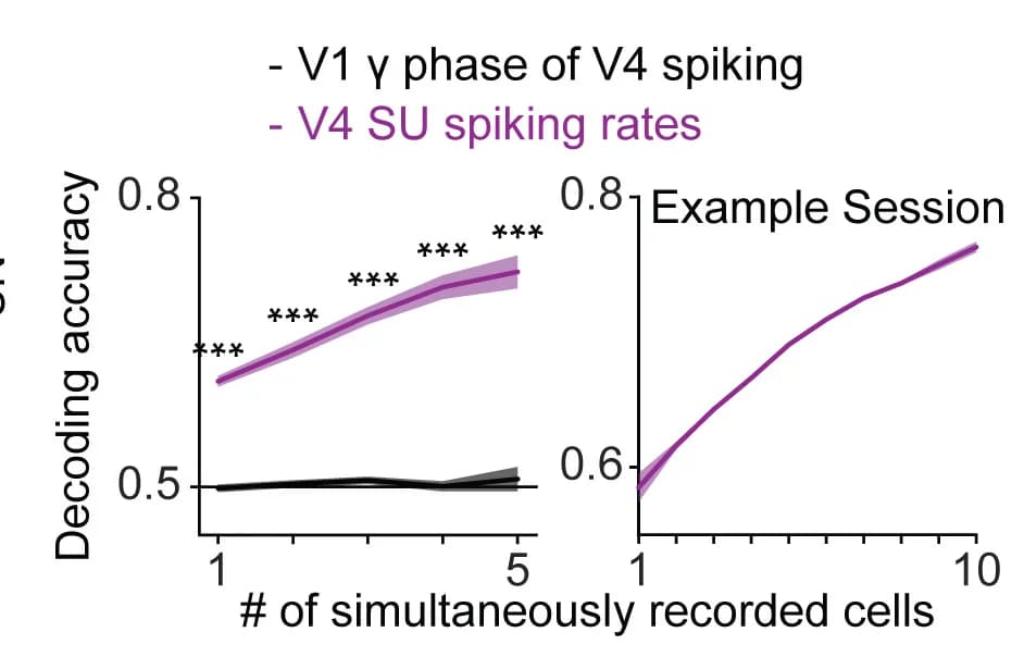 Open access visualization of Line Plot, Error Bars, Decoding Accuracy, Attentional Condition, V4 SU Spiking Rates