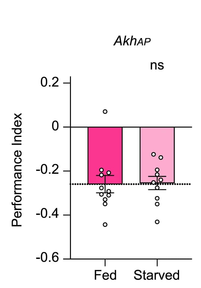 Open access visualization of Bar Plot, Scatter Plot, Error Bars, Aversive Memory, Starvation