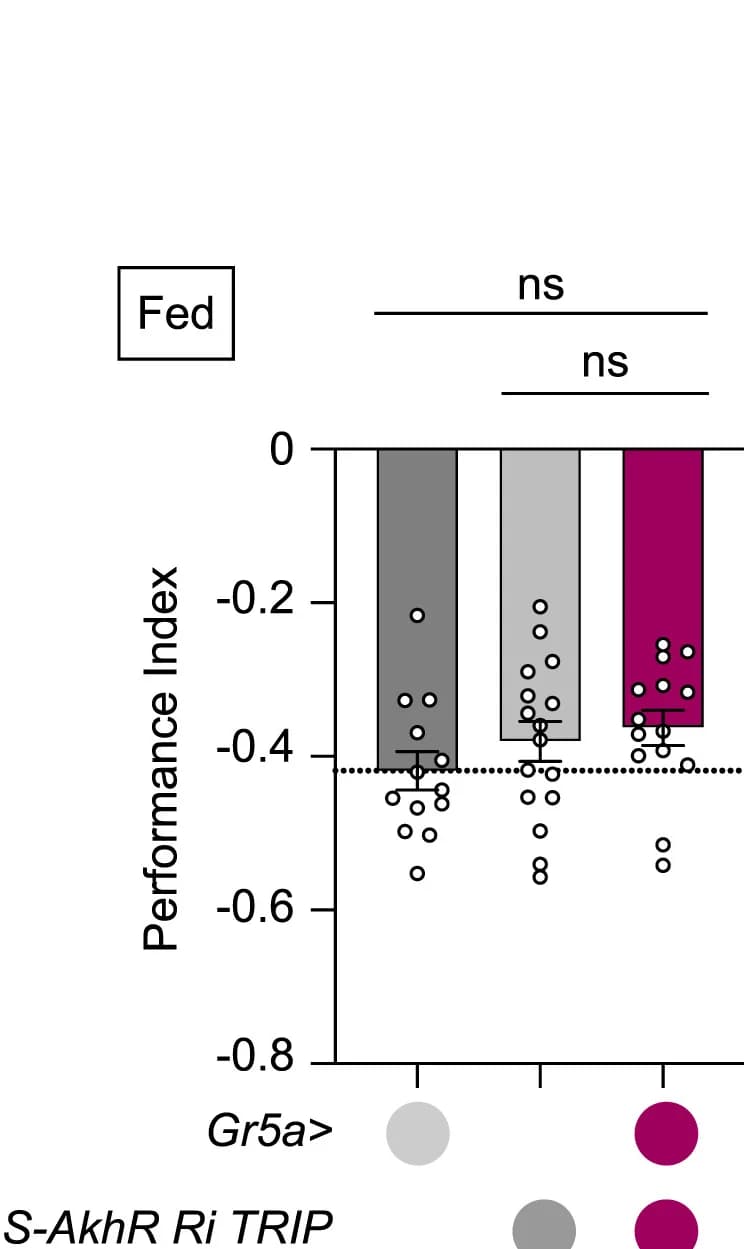 Open access visualization of Bar Plot, Scatter Plot, Error Bars, AkhR Knockdown, Gr5a Neurons