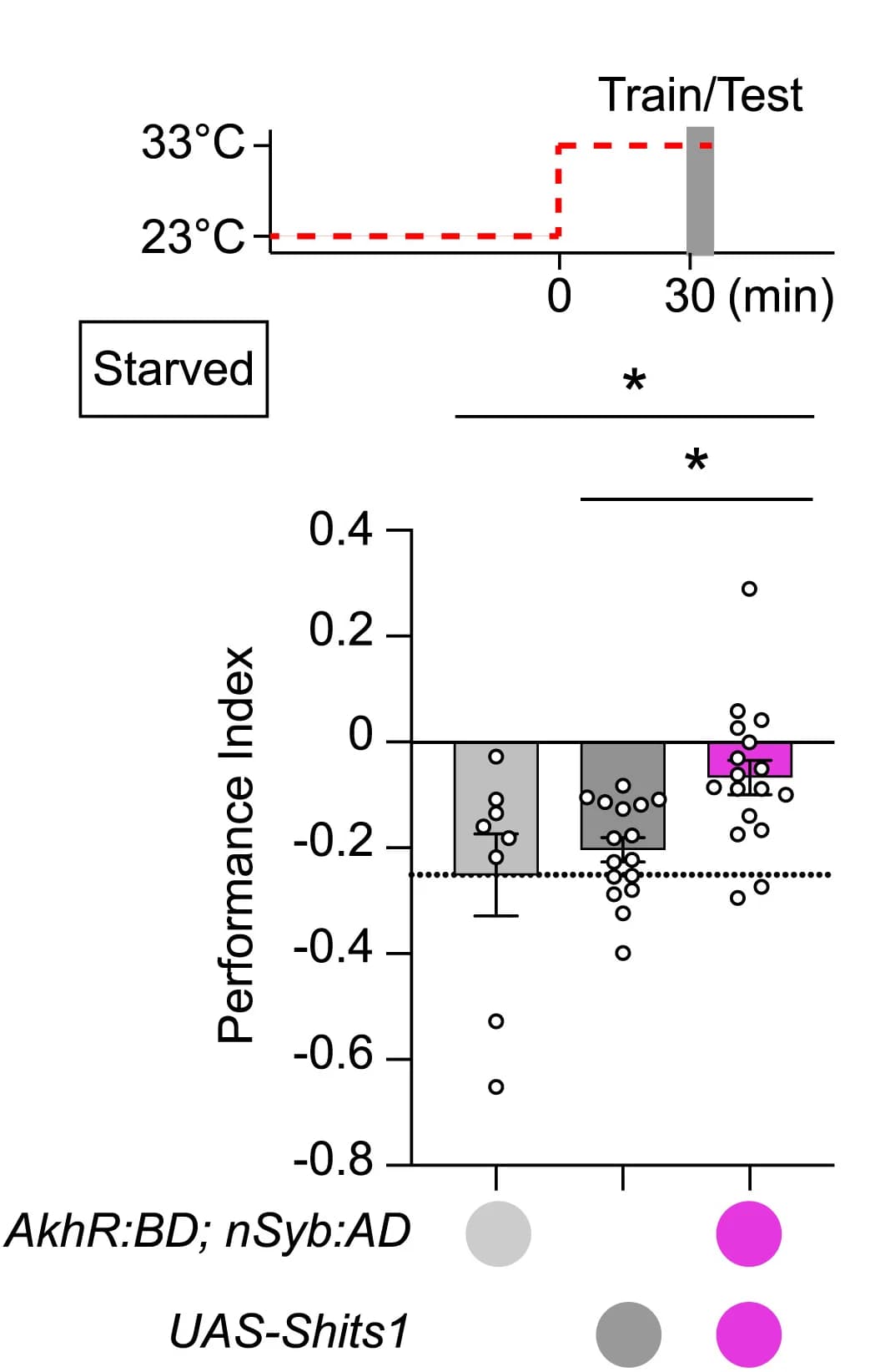 Open access visualization of Bar Plot, Error Bars, Scatter Plot, Line Plot, AKHR Neurotransmission