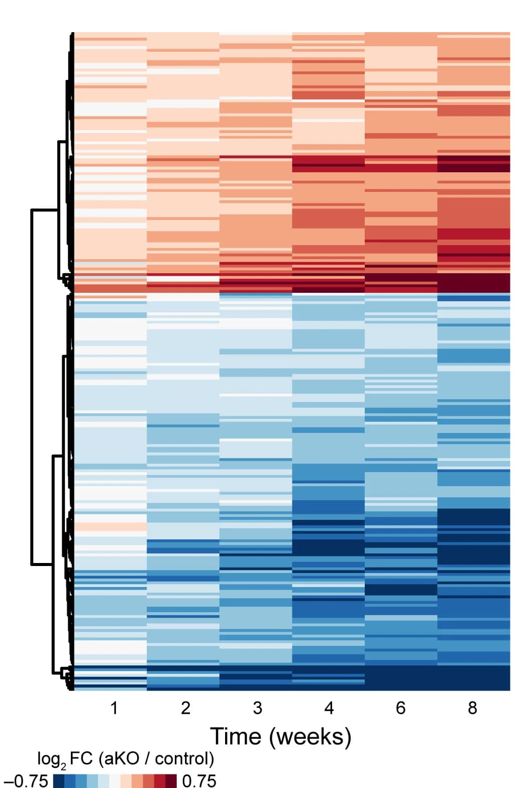Open access visualization of Heatmap, Clustered, Genes, MeCP2