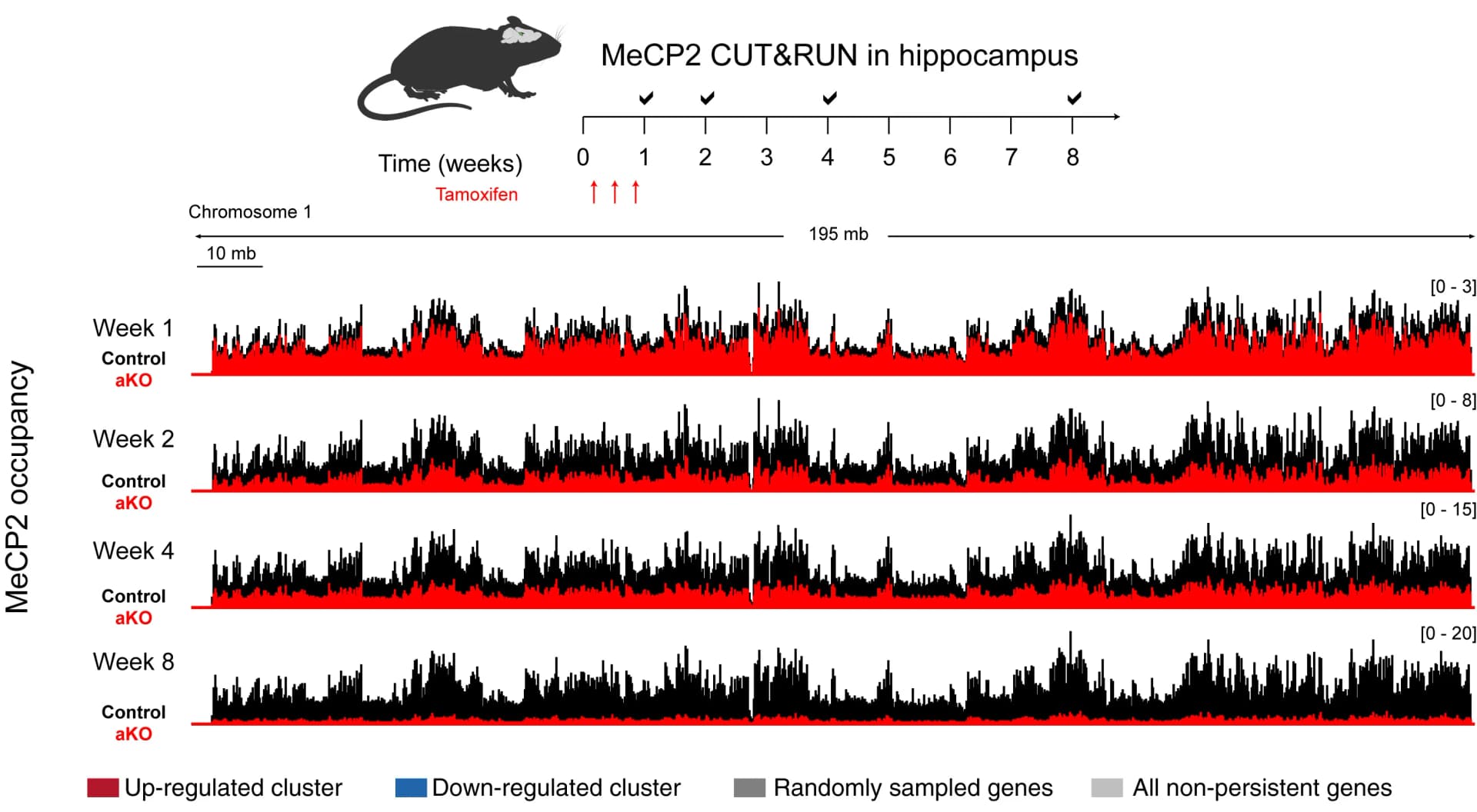 Open access visualization of Line Plot, Density Plot, MeCP2, Tamoxifen, CUT&RUN