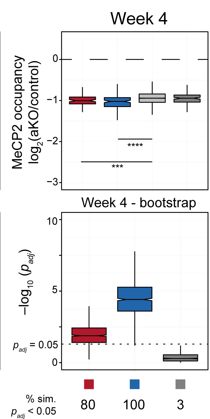 Open access visualization of Box Plot, MeCP2, Genes, Kruskal-Wallis Test, Dunn’s Multiple Comparisons