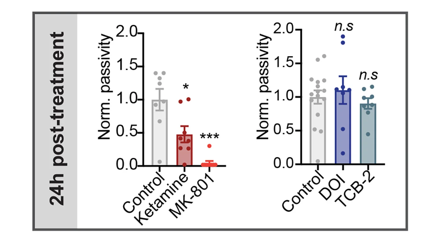 Open access visualization of Bar Plot, Error Bars, Scatter Plot, Persistent Effects, Phencyclidine-Site NMDA Receptor Antagonists