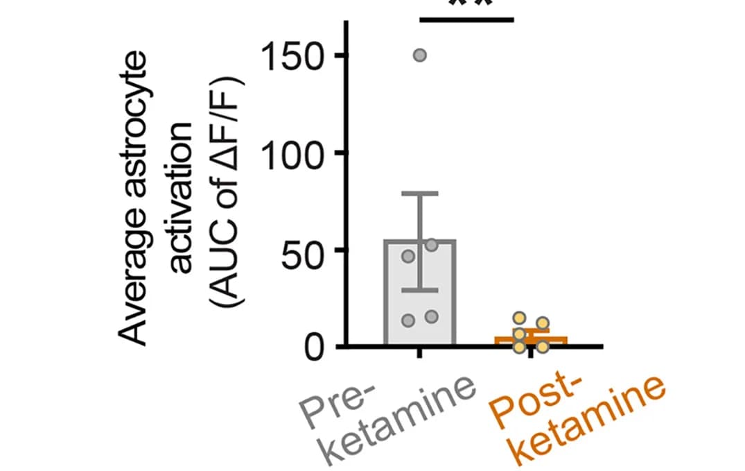 Open access visualization of Bar Plot, Error Bars, Scatter Plot, Astrocytes, Ketamine