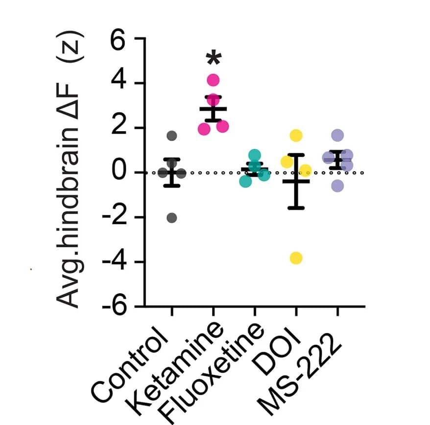 Open access visualization of Scatter Plot, Error Bars, Hindbrain Fluorescence, Ketamine, Fluoxetine
