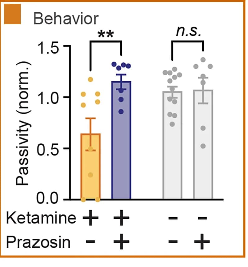 Open access visualization of Bar Plot, Error Bars, Scatter Plot, Open-Loop Passivity, Ketamine