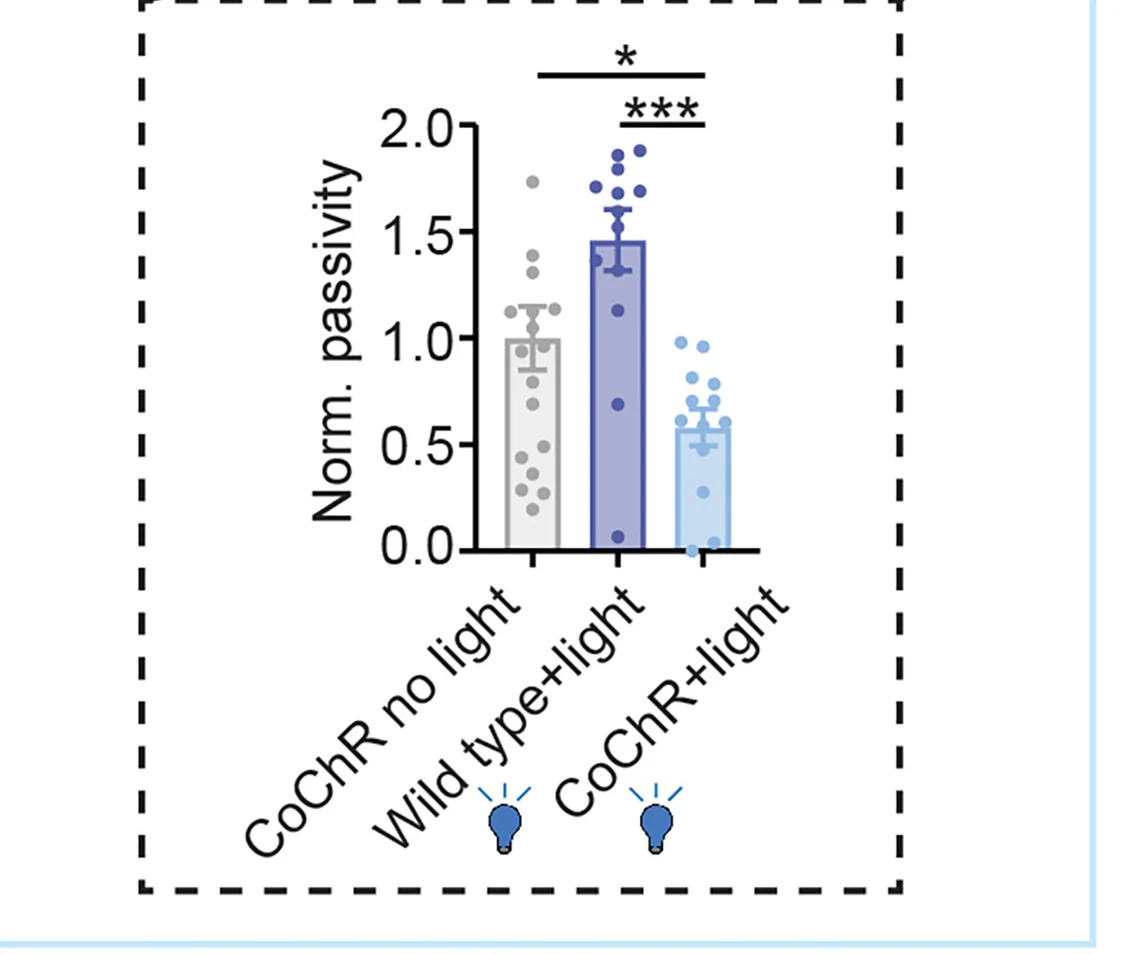 Open access visualization of Bar Plot, Error Bars, Scatter Plot, Passivity, Optogenetic Stimulation