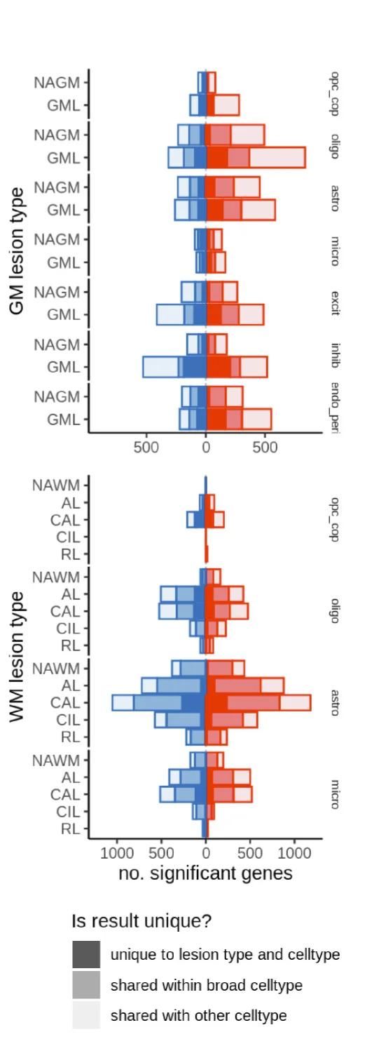 Open access visualization of Bar Plot, Stacked Bar Plot, Bar Chart, Differentially Expressed Genes, White Matter