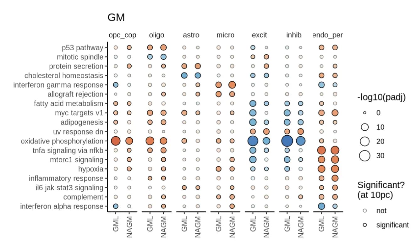 Open access visualization of Bubble Plot, Dot Plot, Gene Ontology, GO Terms, Cell Type