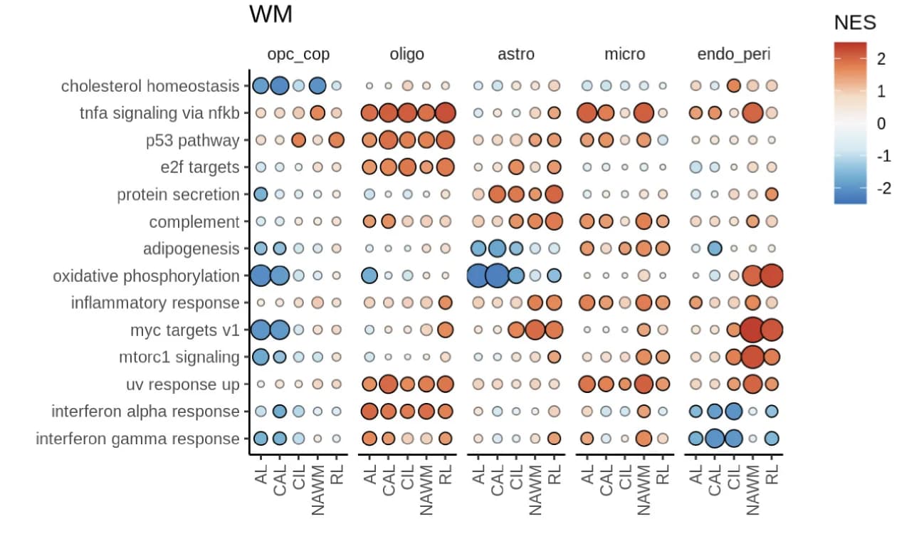 Open access visualization of Bubble Plot, Dot Plot, Gene Ontology, GO Terms, Cell Type