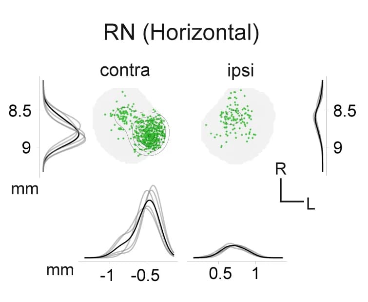 Open access visualization of Scatter Plot, Line Plot, Density Plot, Topographic Distributions, RN
