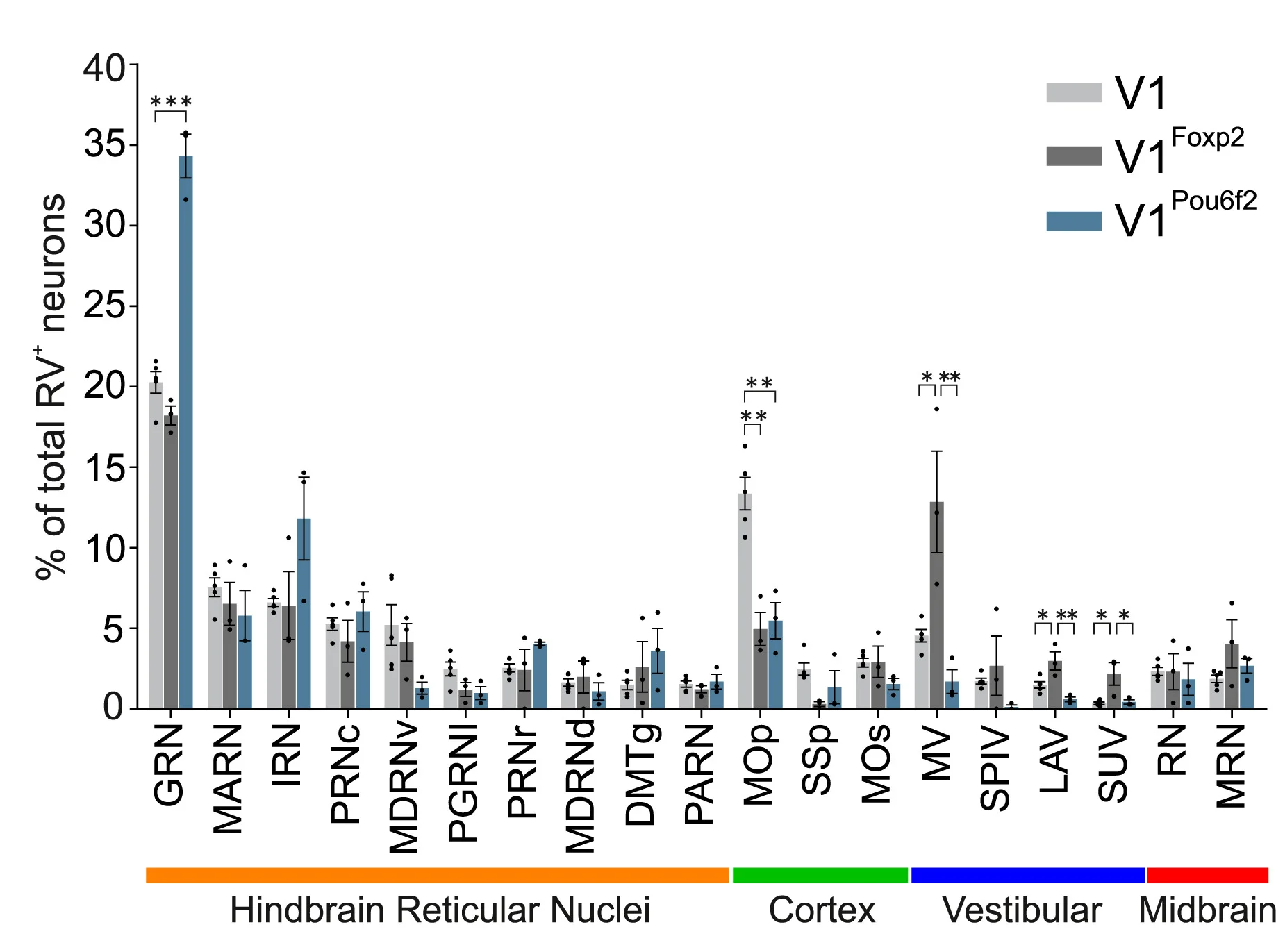 Open access visualization of Bar Plot, Error Bars, Clustered, RV-infected Supraspinal Neurons, V1Foxp2 Interneurons