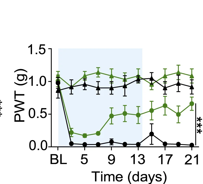 Open access visualization of Line Plot, Error Bars, PWT, Mice, CNO Injection