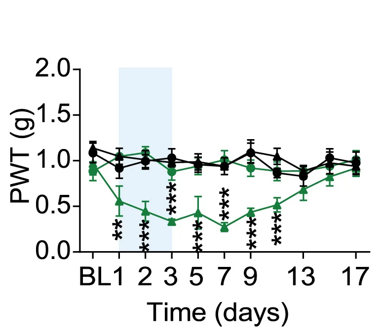 Open access visualization of Line Plot, Error Bars, PWT, Mice, CNO Injection