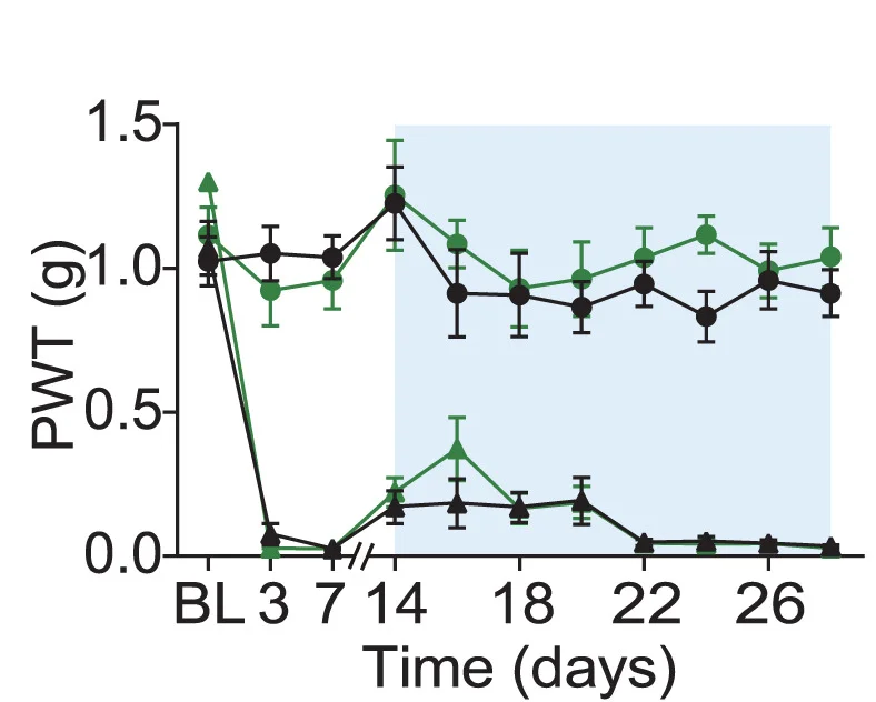 Open access visualization of Line Plot, Error Bars, PWT, Mice, CNO Injection