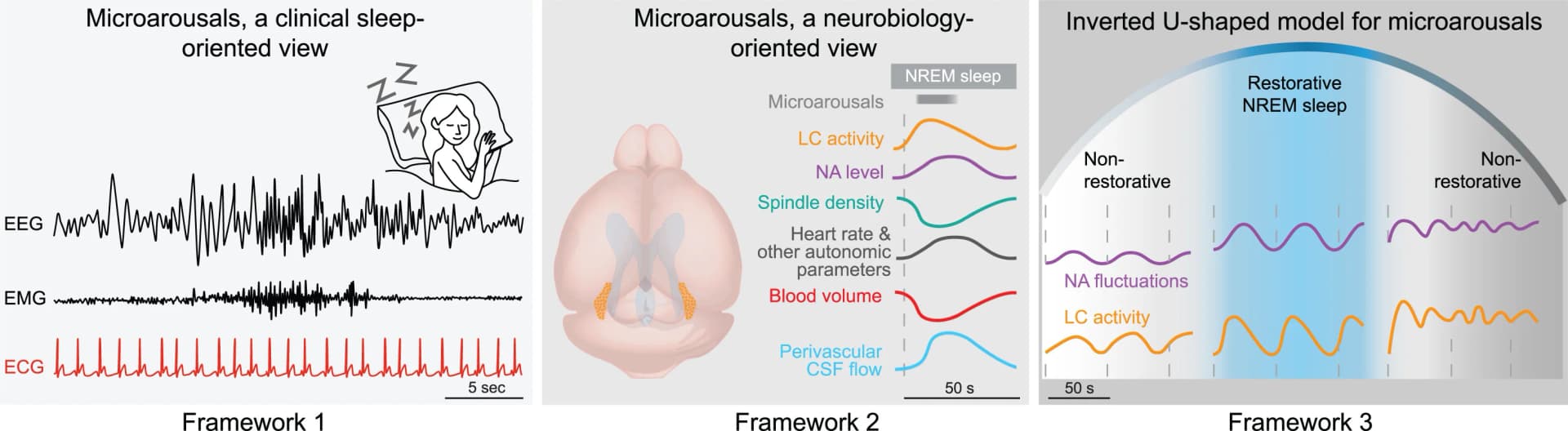 Open access visualization of Line Plot, Illustration, Framework, Microarousals, Clinical Sleep