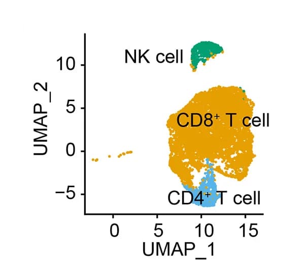 Open access visualization of Scatter Plot, UMAP, CD8+ T Cell, CD4+ T Cell, NK Cell