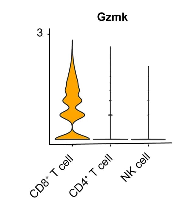Open access visualization of Violin Plot, Box Plot, VlnPlot, scCustomize Package, Expression Levels