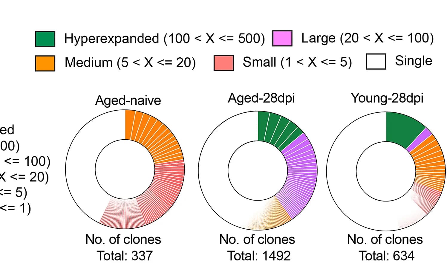 Open access visualization of Donut Chart, TCR Clones, Spinal Cord, Clonal Expansion