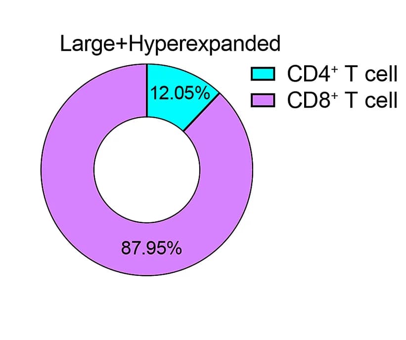 Open access visualization of Donut Chart, Clones, CD8+ T Cells, Clonal Expansion
