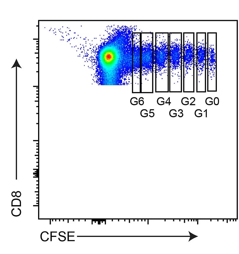 Open access visualization of Scatter Plot, Flow Cytometry, CFSE, OT-IRag2-/-CD8+T Cells, Spleen
