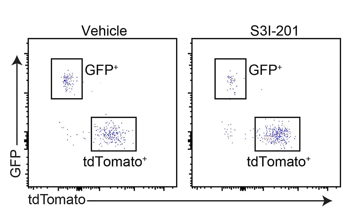Open access visualization of Scatter Plot, Flow Cytometry, GFP+(NKG7+ Cells), tdTomato+(NKG7- Cells), CD8+T Cells