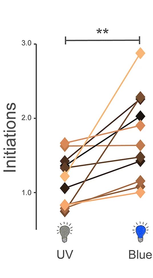 Open access visualization of Line Plot, Scatter Plot, Locomotion, Blue Light, UV Light