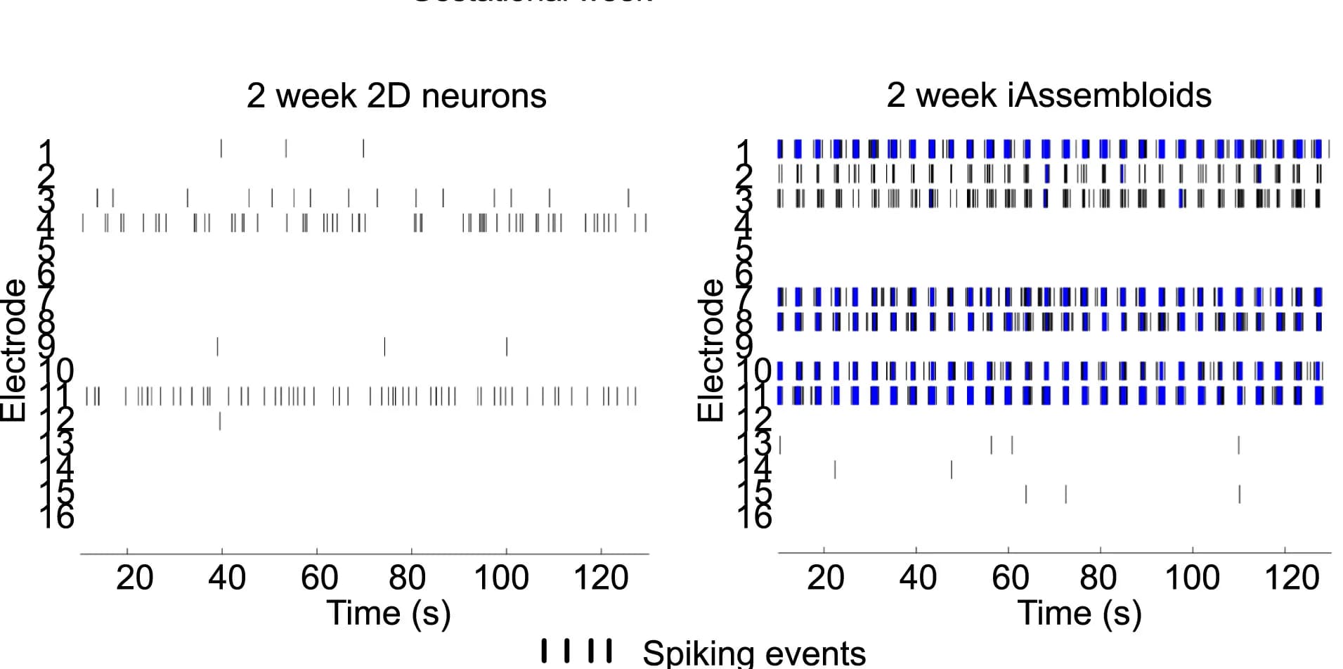 Open access visualization of Line Plot, Line Step, Raster Plot, Multi-Electrode Array, Spikes