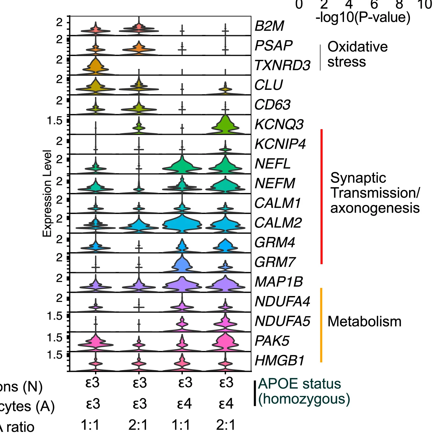 Open access visualization of Violin Plot, Box Plot, Gene Expression, GO Terms, Co-culture Conditions