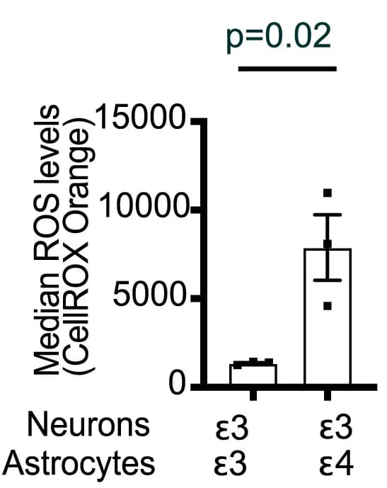 Open access visualization of Bar Plot, Error Bars, ROS Levels, Neurons, Astrocyte Co-cultures