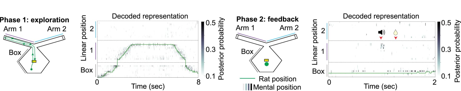 Open access visualization of Line Plot, Heatmap, Hippocampal Activity, Decoding, Rat Position