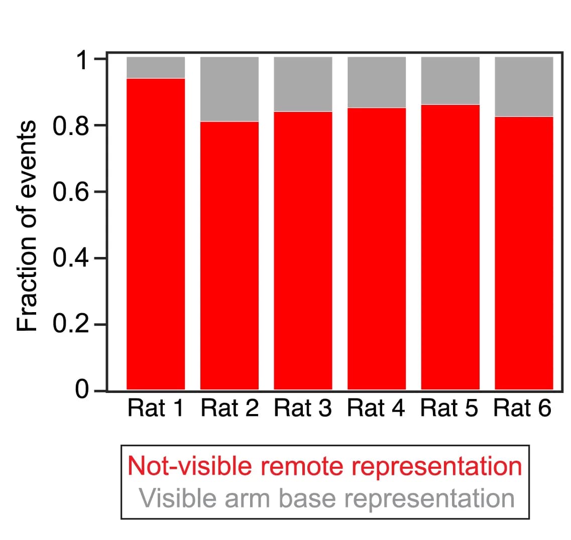 Open access visualization of Stacked Bar Plot, Detected Events, Arm Base Representation, Animal Location
