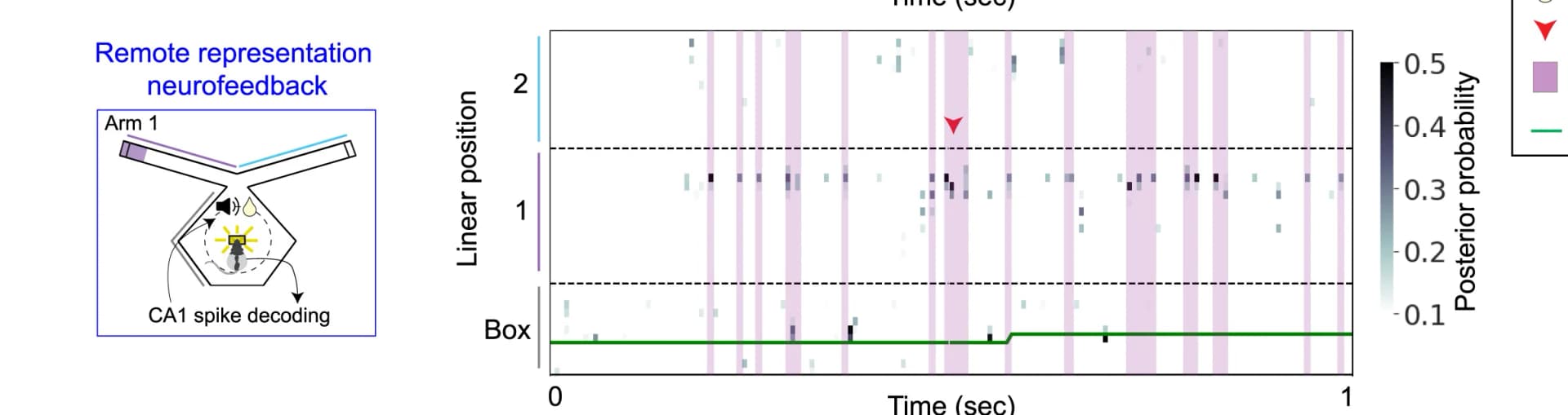 Open access visualization of Heatmap, Line Plot, Remote Representation, Neurofeedback, Mental Position