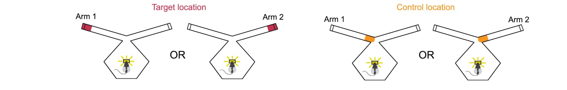 Open access visualization of Workflow, Flowchart, Illustration, Target Location, Control Location