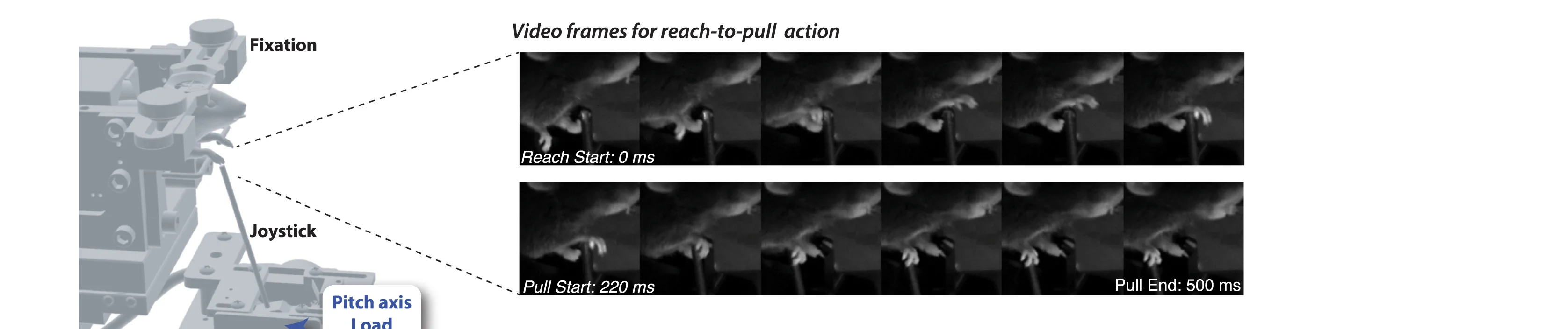 Open access visualization of Photo, Robotic Joystick, Degrees of Freedom, Motorized Control, High Speed Camera