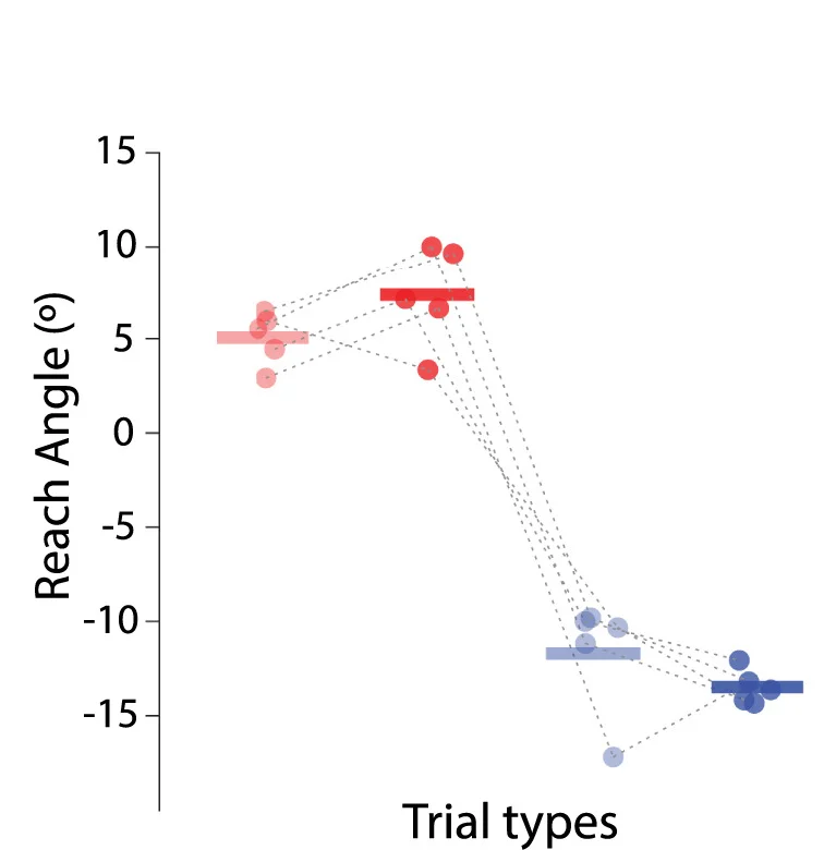 Open access visualization of Scatter Plot, Bar Plot, Error Bars, Reach Angle, Pull Force