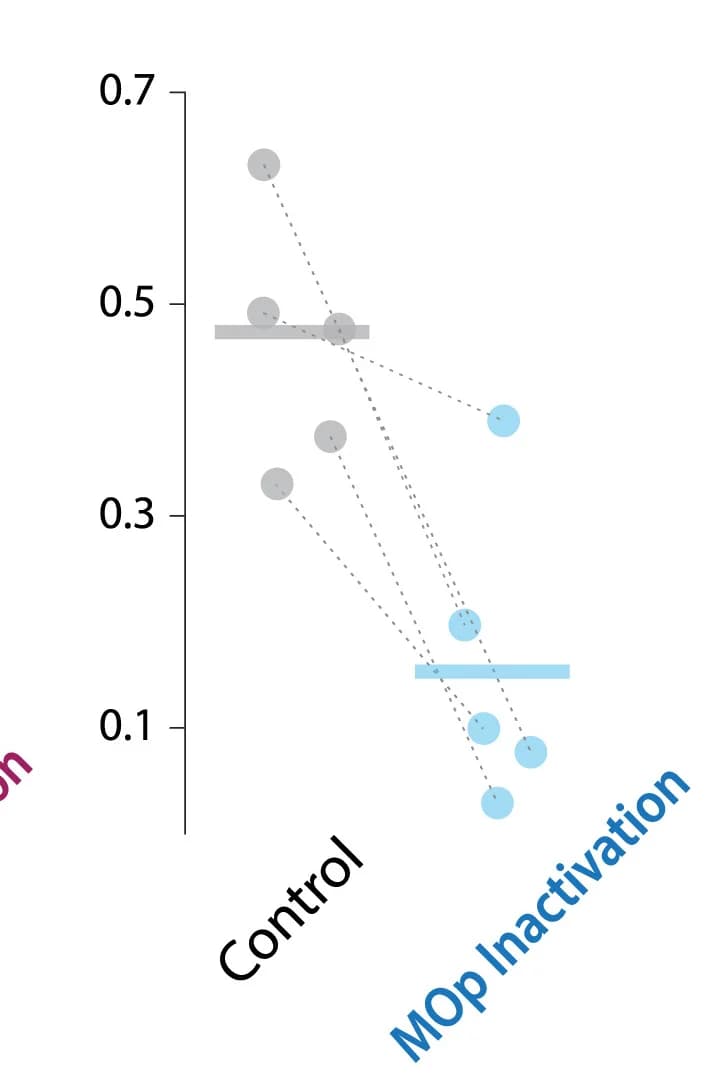 Open access visualization of Scatter Plot, Error Bars, P(Reach), Inactivation, MOp