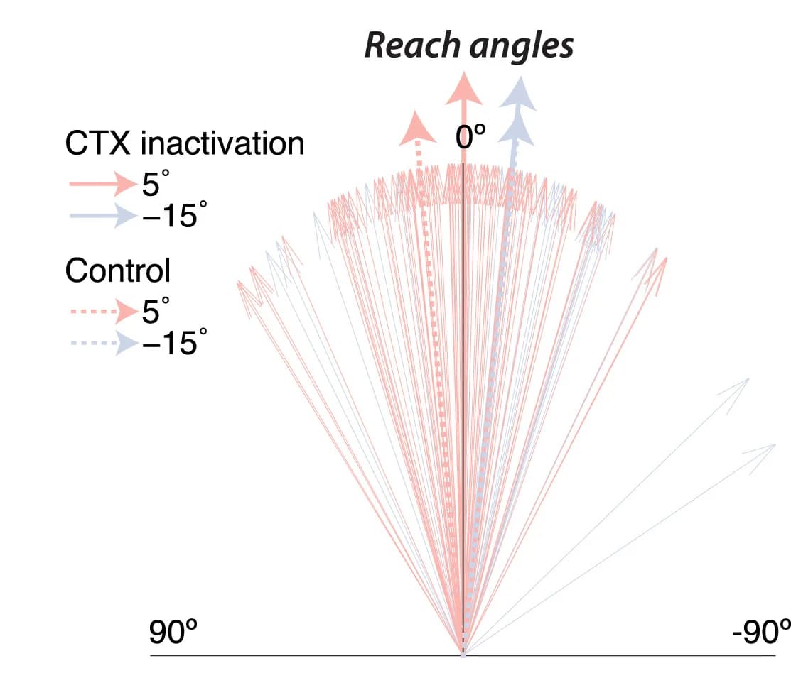 Open access visualization of Line Plot, Reach Angles, Target Locations, Control Trials
