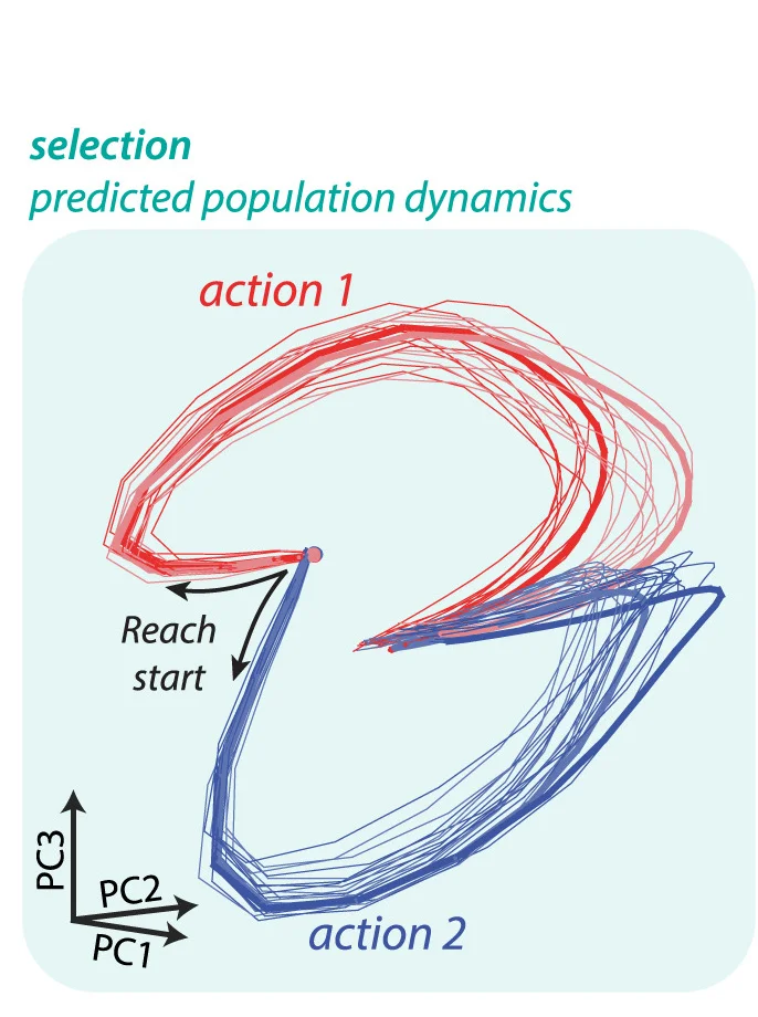 Open access visualization of Line Plot, Encoding Models, GPFA, Quantitative Predictions, Selection Model