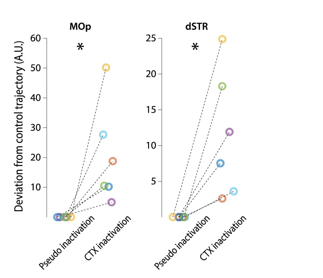 Open access visualization of Line Plot, Scatter Plot, Deviation, Control Trajectory, Euclidean Distance