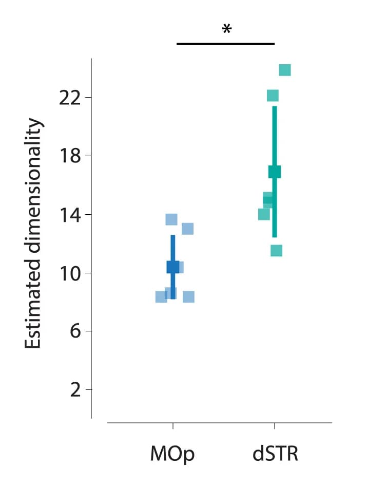 Open access visualization of Scatter Plot, Error Bars, Dimensionality, Neurons, Dataset