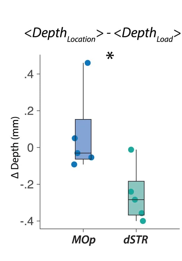 Open access visualization of Box Plot, Scatter Plot, Spatial Segregation, dSTR Units, Movement Parameters